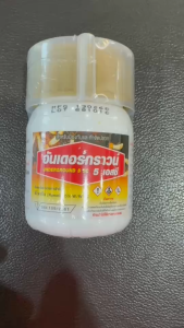 อันเดอร์กราวน์ ปลวก ทะเบียน อย. ชนิดไร้กลิ่น ติดเชื้อ ตายยกรัง(100cc.)