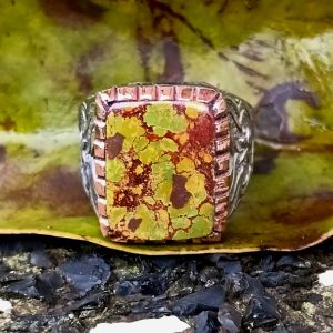 cincin pirus persia daun kering