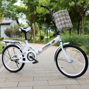 Portable Foldable Bike 20 Inches