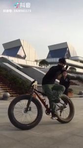 Ready✅ 20 Inch Fat Tire Bike Children Kid Mountain Beach Cruiser Bicycle Folding Carbon Steel Disc Brake Tyre Big Wheel