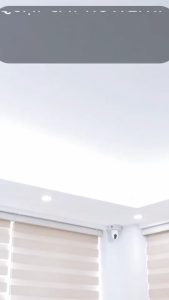 Quạt cây Rowenta VU5890 Turbo Silence Extreme+ Hàng nội địa Đức