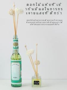 Nhiệt Độ Phòng Thơm Gỗ Thấm Hút Hương Thơm Lâu Dài Không Cần Nến Không Có Nguy Hiểm Cho Trẻ Em Và Thú Cưng