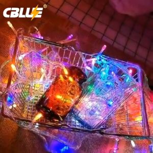 (Warranty)CBLUE Led String Fairy Lights 200M Christmas Connectable Waterproof AC220V Holiday Lighting Decoration