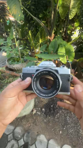 กล้องฟิล์ม MINOLTA X-7+MINOLTA MC ROKKOR-PF 55MM.F1.7