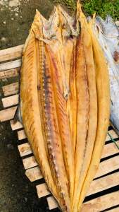 Ikan Asin Telang Tenggiri Khas Tabanio Perekor Kualitas Grade A