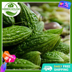 Green House® - Ampalaya Seeds for Planting Vegetable Plants (7 Seed) incl. Planting Instructions Hybrid Variety Plant