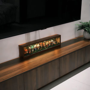 Living Room TV Cabinet Display Box Home Use Figurine Storage Organizer Scene Arrangement Small Wild Blind Box Star Man