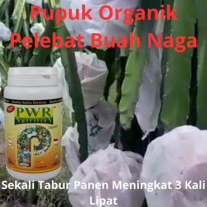 Super Pupuk Buah Naga Organik dan Efektif 250 Gram / Pupuk Pembesar Buah Naga Organik