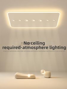 Modern High-End LED Ceiling Light