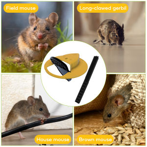 Rat Trap Flip Cover Trap for Catching Mice Useful Double Labber Indoor and Outdoor Kitchen Room Garden Reset Rat Catching Flip Mousetrap