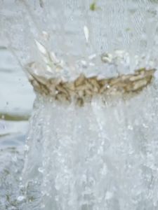 现货MY 劲仔-小鱼-烧烤味/麻辣味/香辣味 12克 JIN ZI-Small Fish-BBQ Flavor/Mala Flavor/Spicy Flavor 12G