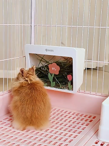 PetCoCo 🐾 Dayang Rabbit Hay Rack Acrylic Steel Guinea Pig Hay Rack Small Pet Cage | 达洋兔子草架内置防浪费草盒荷兰猪龙猫草笼可固定喂草食盒干草架