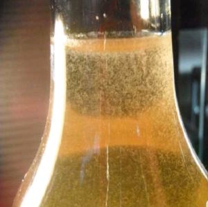 Buy 2 Free 1 🔥🔥Vinegar Eels(Turbatrix aceti) Instant Starter Culture 30ML( Micro Worms for fish fry)