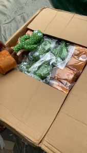 Dancing Kaktus Dancer Bonus Pisau Lipat