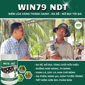WIN79 NDT - NỞ BỤI KÍCH RỄ BUNG CHỒI VỌT ĐỌT HẠ PHÈN NÂNG pH