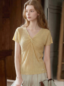 Slim Fit V-Neck Short Sleeve Knitted Top