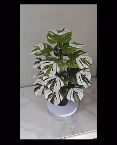 【SG Evergreen】Artificial Plant in White Pot Small FakePlant Faux Plant for Home Decor Artificial Palm Monstera Fig Plant