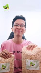 German Horse Hamster: Panduan Lengkap untuk Pemula