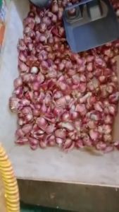 Bawang Merah Brebes Rogolan Campur - 500 Gram - LPJ
