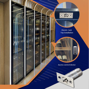 DC12V Điều Khiển Điện Khóa Nhỏ Khóa Điện Tử Mini Bu Lông Điện Khóa Cửa Solenoid Đột Quỵ Khóa Ngầm