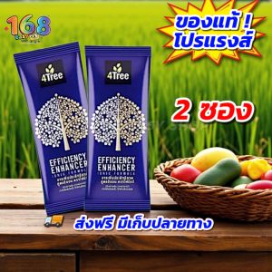 [ส่งฟรี] 4Tree โฟร์ทรี เร่งการเจริญเติบโตพืช Amino Black อะมิโนแบล็ค Amino Gold