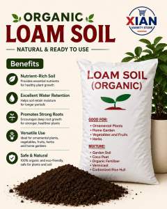 Organic Loam Soil Bag for Ornamental Plants Home Garden Vegetables and Fruits Herbs. Contains Garden Soil Coco Peat Organic Fertilizer Vermicast Carbonized Rice Hull.