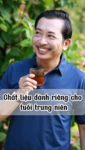 Áo thun polo nam THÁI KHANG vải thun lạnh mặc cực mát co dãn 4 chiều APOLO38