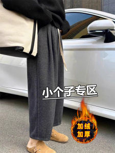 Small Fall and Winter Fleece Straight Grandma Casual Pants Womens Eight Or Nine Points Slim Looking Harem Tappered Wide Leg Glutinous Rice Pants XS