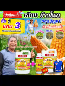 เซียนข้าวโพด โปรน็อคน้ำ ซื้อ 1 แถม 3 แก้ปัญหาน็อคน้ำ ข้าวโพดต้นเหลือง ต้นม่วง แกนน้ำ ปุ๋ยฉีดข้าวโพด ฮอร์โมนพืช