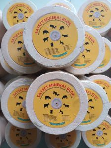Mineral blok - Mineral blok satset - Mineral satset - Blok satset - mineral sapi - mineral kambing - mineral domba - vitamin sapi - mineral ternak - mineral domba - mineral blok untuk kambing - mineral blok untuk sapi