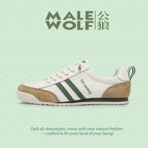 Luxurious Mens Casual Shoes Breathable Anti-Odor Trendy Board Shoes Spring Autumn New Style Male Wolf Comfortable Sports Shoes