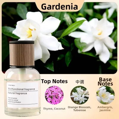 OUSHIDUN | Smoke and Odor Removal Jasmine Scent Car Aroma Diffuser