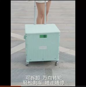 Ready Stock Extra Large 65L Strong 100Kg Load Folding Shopping Cart Foldable Trolley Storage Movable Easy Carry Compact