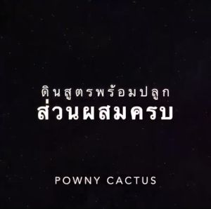 ดินปลููกกุหลาบ กับ ดินปลูกดอกกุหลาบ กับ ดินกูหลาบ กับ ดินผสมสำเร็จ กับ ดินผสมพร้อมปลูก