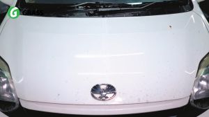 GRASS HYDRO POLIMER READY TO USE 500 ML ( PELINDUNG CAT KENDARAAN )