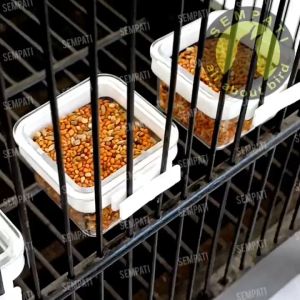 SEMPATI Cepuk Maxglo Max Glo Kotak 1 Pcs Isi 3 Cepuk Belgia Maxglo Wadah Tempat Pakan Makanan Minum Burung Murai Kacer Kenari Lovebird Cucak Ciblek Branjangan