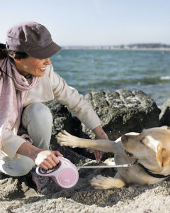 HATELI สายจูงสุนัขแมวสายจูงสัตว์เลี้ยงแบบยืดหดได้3/5/8ม. สายรัดเชือกลากสายล่ามยืดหยุ่นอัตโนมัติสำหรับเล็กกลางใหญ่สินค้าสัตว์เลี้ยงสุนัข FLEXI Comfort รุ่นใหม่