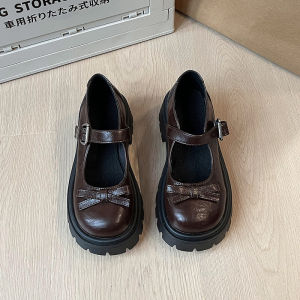 Mary Jane Single Shoes Womens round Head Butterfly Knot Thick Bottom Spring Summer French Style JK Mini Leather Shoes for Skirts