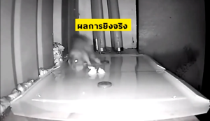 รุ่นหนาขึ้นอัพเกรด กาวดักหนู กาวดักหนู แน่นๆ อุปกรณ์กำจัดกาวดักหนูถาด กาวนำเข้าจา าวดักหนู แน่นๆ กระดาษหนาขึ้นใหญ่ขึ้น เห นียวสุดๆ ไร้สารพิษ  แผ่นกาวดักหนู ยาฆ่าหนู กำจัดหนู กำจัดหนูในบ้านง่ายต่อการใช้ กาวดักหนู ปลอดสารพิษและปลอดภัย