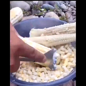 ที่ขูดเมล็ดข้าวโพด Stainless Steel Corn Grater ที่แกะข้าวโพดอย่างง่าย สแตนเลสเกรดอาหาร ที่ขูดข้าวโพดแบบมืออาชีพ