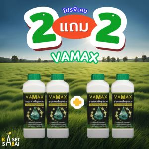 โปร 9.9 VAMAX 2แถม2 ปุ๋ยธาตุอาหารรวม เสริมการเจริญเติบโต ส่งฟรี