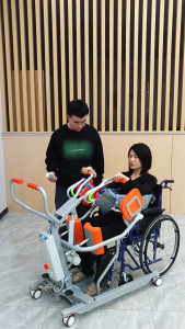 Elderly Electric Sit to Stand Transfer Wheelchair