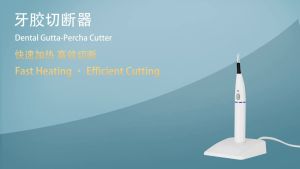 Niceden | NICEDEN Electrocoagulation Hemostatic Pen 4 Tips Tooth and Gingival Cutter Dental Cutting Wireless Charging Socket Heating