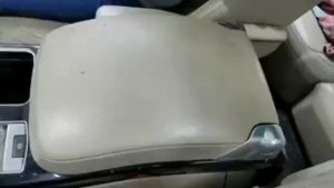 Dung dịch tẩy vệ sinh nội thất xe Fra-ber 700211