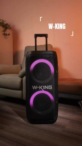 W-KING T12 270W Party Speaker Portable Outdoor Speaker With Two Mic,Built-in Lights Powerful Sound And Deep Bass