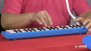 REDFIRE TOYS PIANIKA BROTHER 32 KEY PIANO STYLE MELODICA ORGAN TIUP