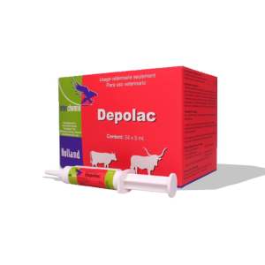 Depolac (1 tuýt 5ml) tuýp phòng và xử lý viêm vú giai đoạn cạn sữa