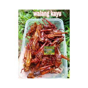 Belalang goreng/ simet / walang kayu besar  belalang pedas gurihbelalang gurih asin belalang terlaris belalang termurah belalang pedas manis makanan extrim khas gunung kidul  po 3-4hari ( belalang no setok pesan baru goreng di jamin fresh)
