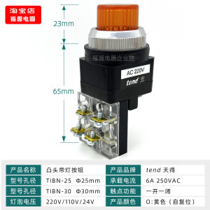 TEND Tibn-25-30mm Button Switch with Light Power on Reset Green Illumination Head 220V Voltage Rating 6A Current Rating