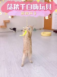 Cat Teaser with String Transparent Sticker Cat Interactive Toy Funny Toy Teasing Bell Cat Teasers Swing Style Cat Teaser